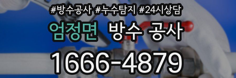 엄정면 방수 공사