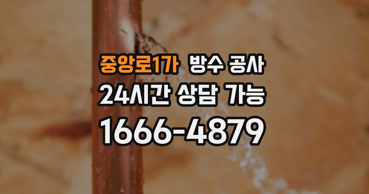 중앙로1가 누수탐지