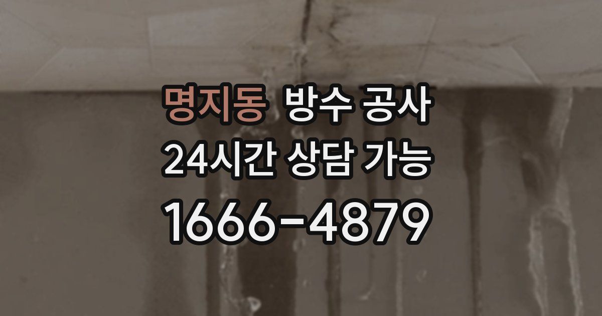 명지동 누수탐지