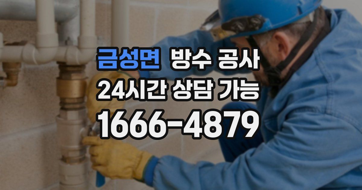 금성면 누수탐지