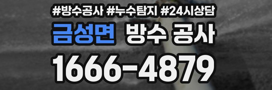 금성면 방수 공사