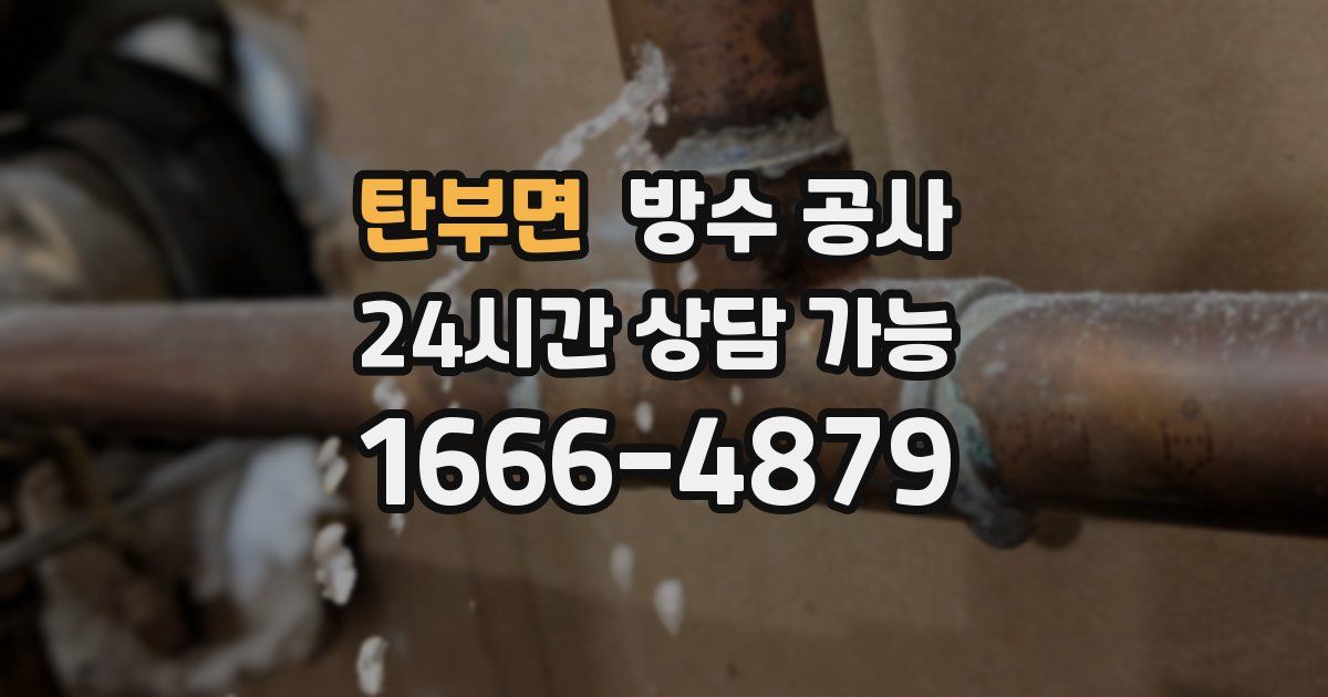 탄부면 누수탐지