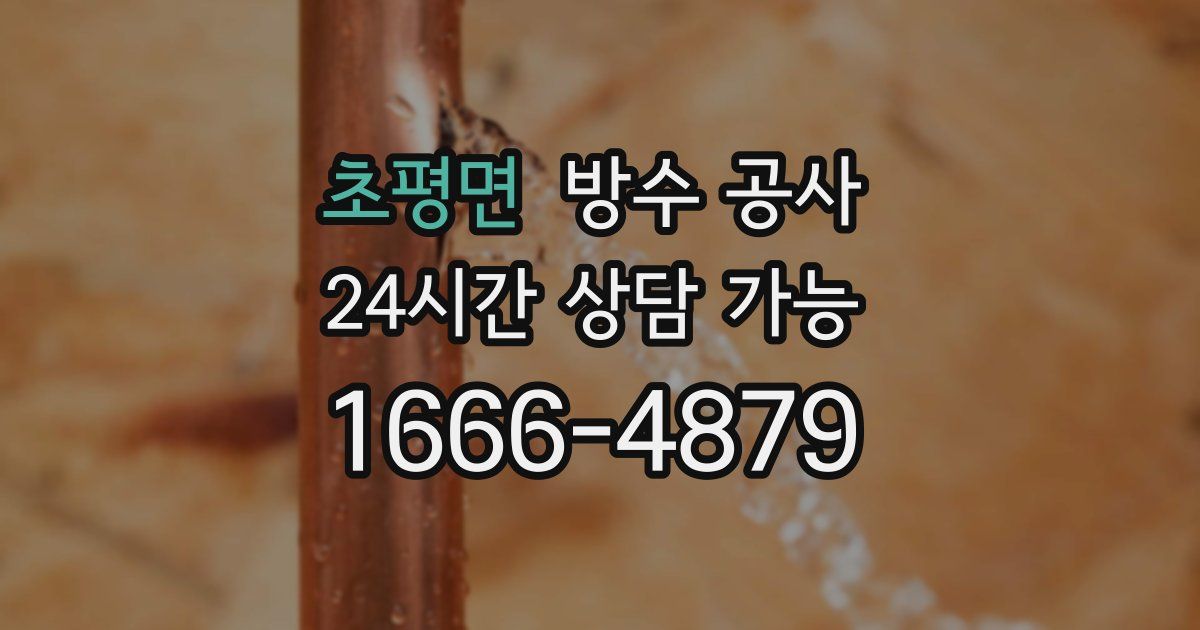 초평면 누수탐지