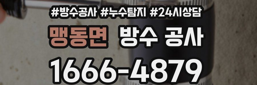 맹동면 방수 공사