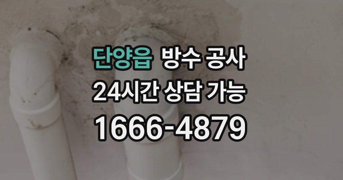 단양읍 누수탐지