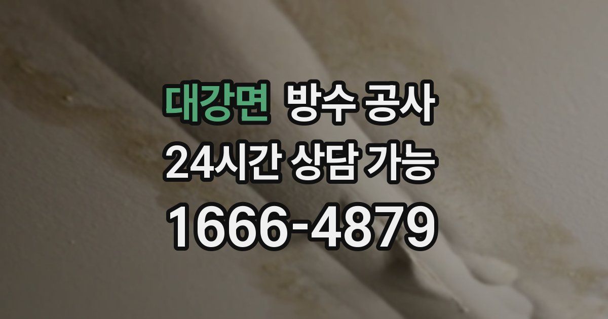 대강면 누수탐지