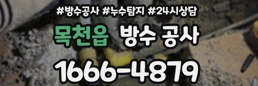 목천읍 방수 공사