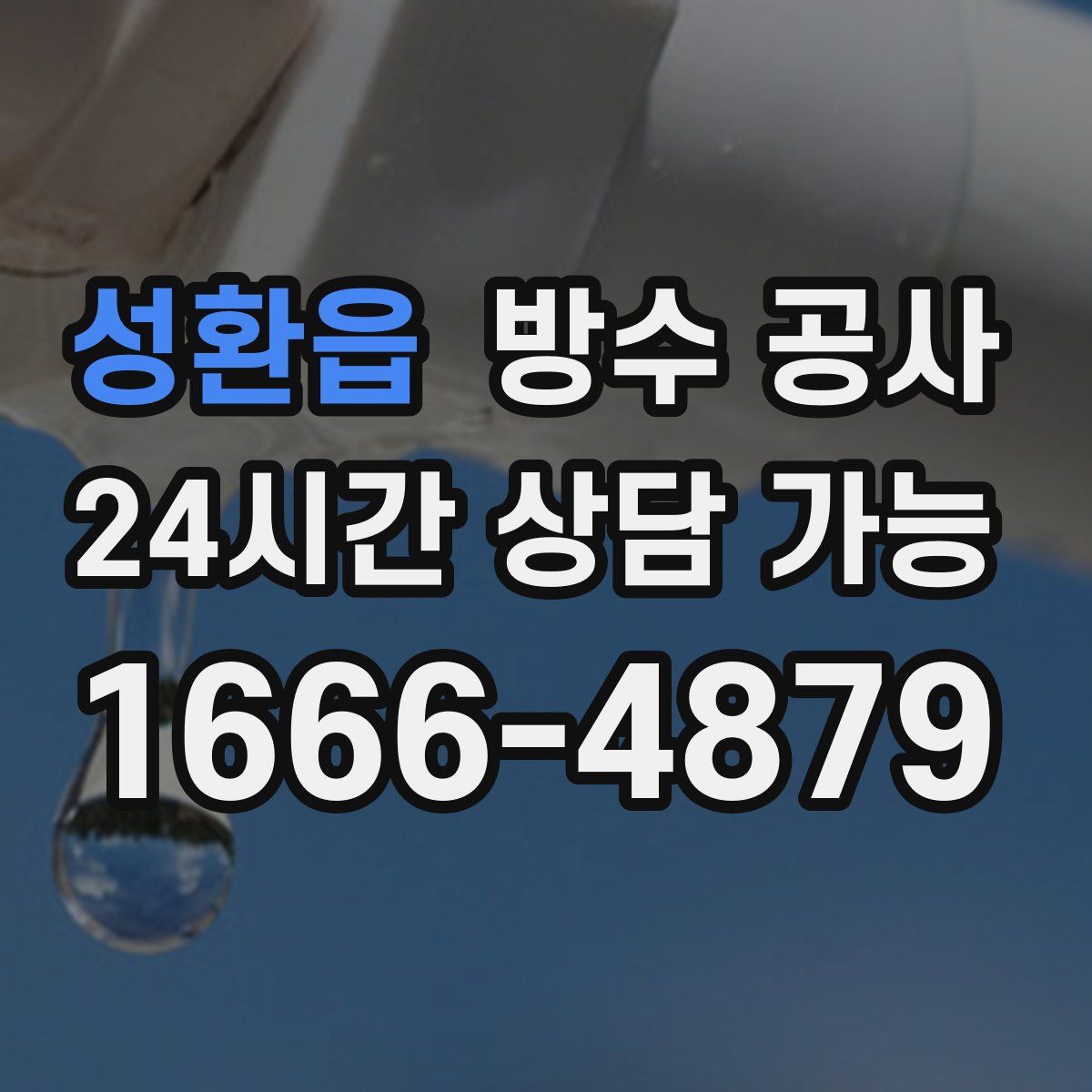성환읍 방수