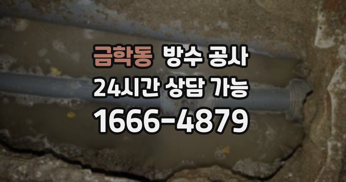 금학동 누수탐지