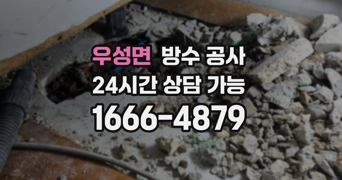 우성면 누수탐지