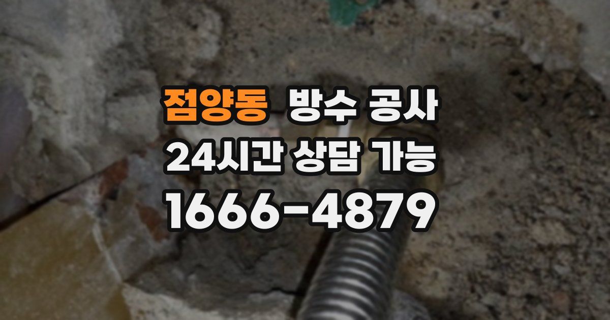 점양동 누수탐지