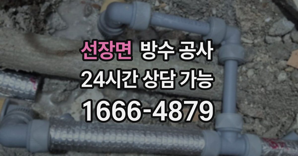 선장면 누수탐지