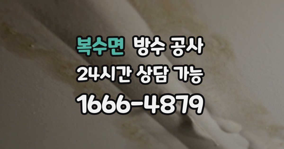 복수면 누수탐지