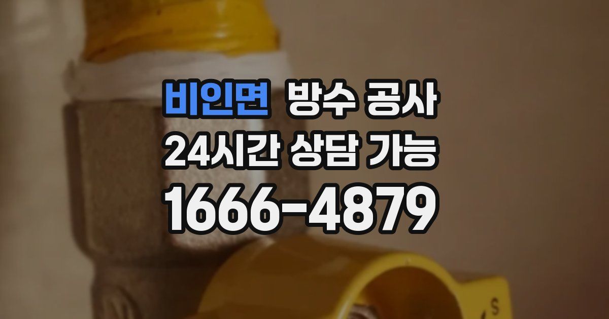 비인면 누수탐지