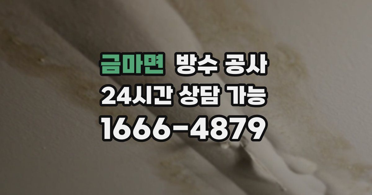 금마면 누수탐지