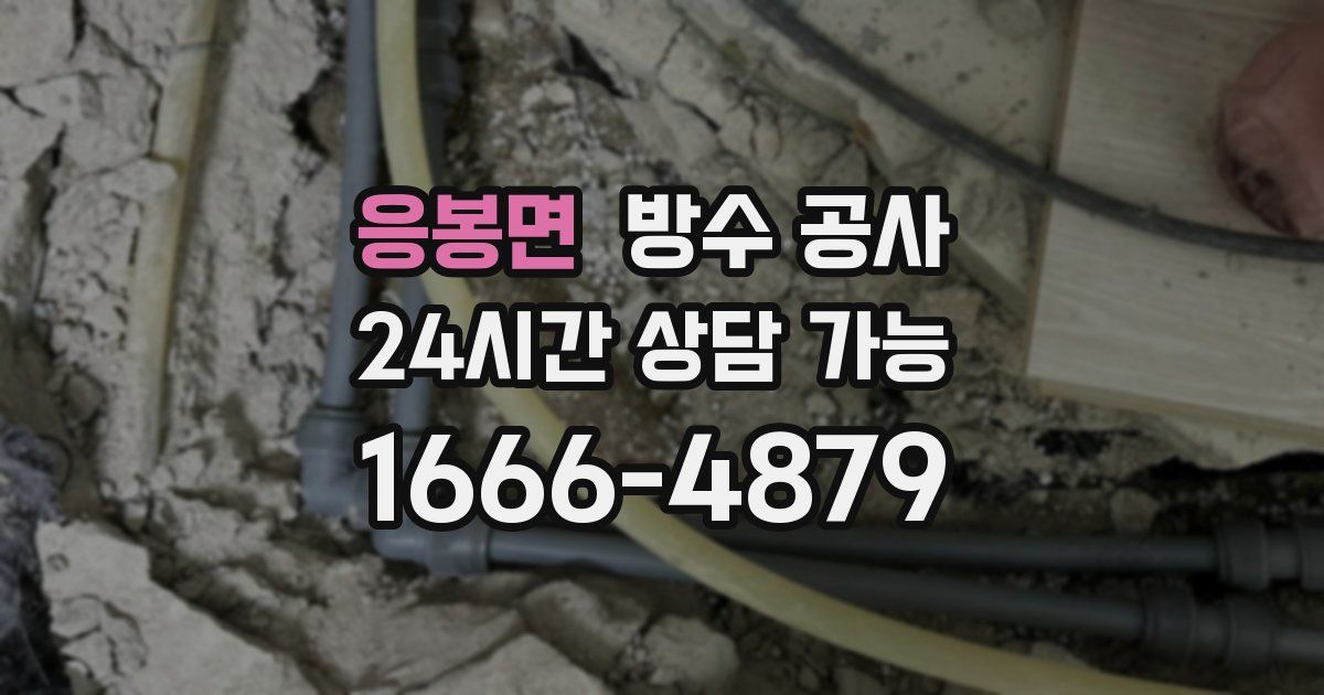 응봉면 누수탐지