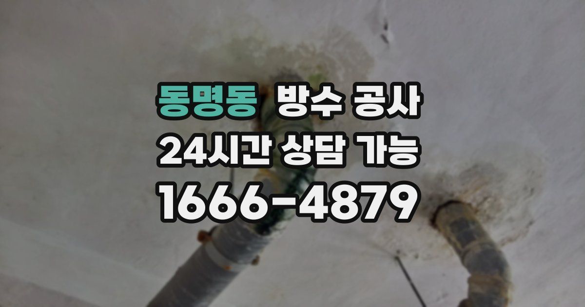 동명동 누수탐지