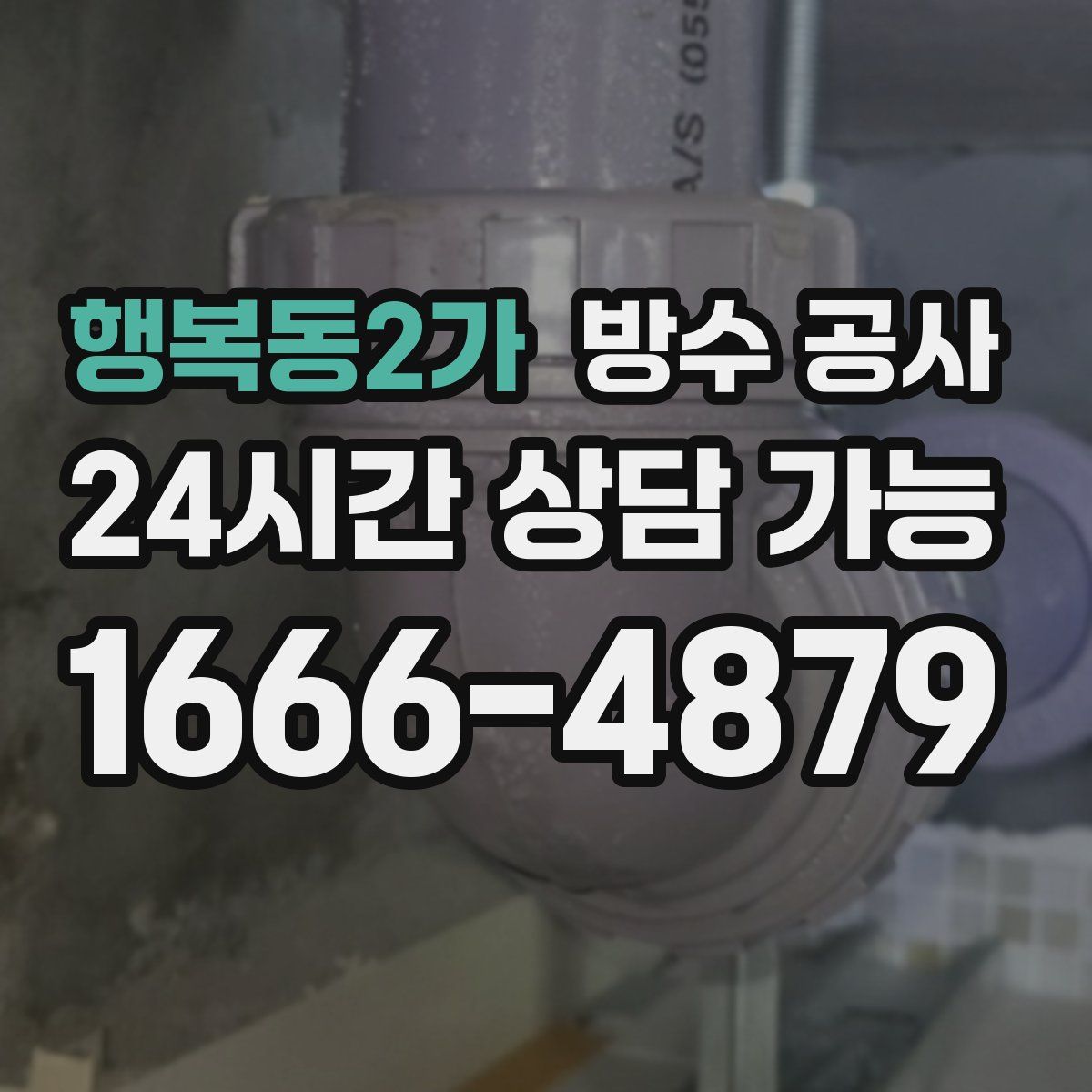 행복동2가 방수