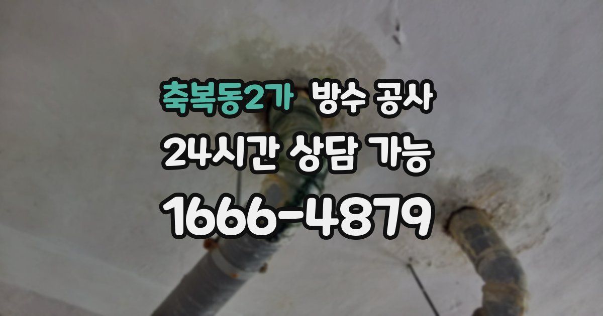 축복동2가 누수탐지