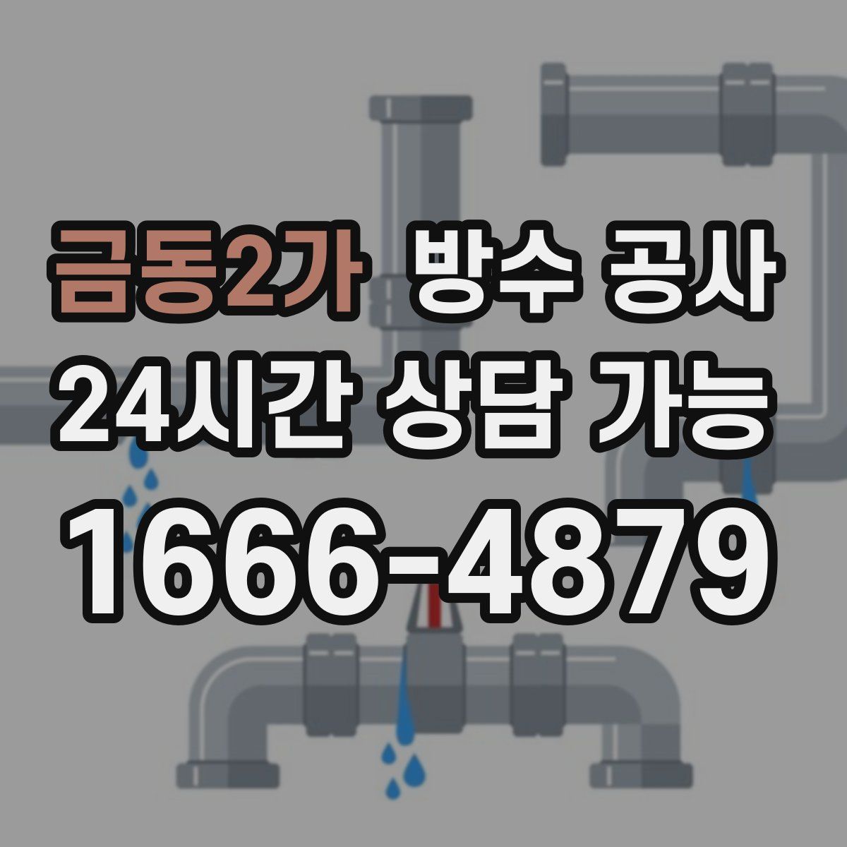 금동2가 방수