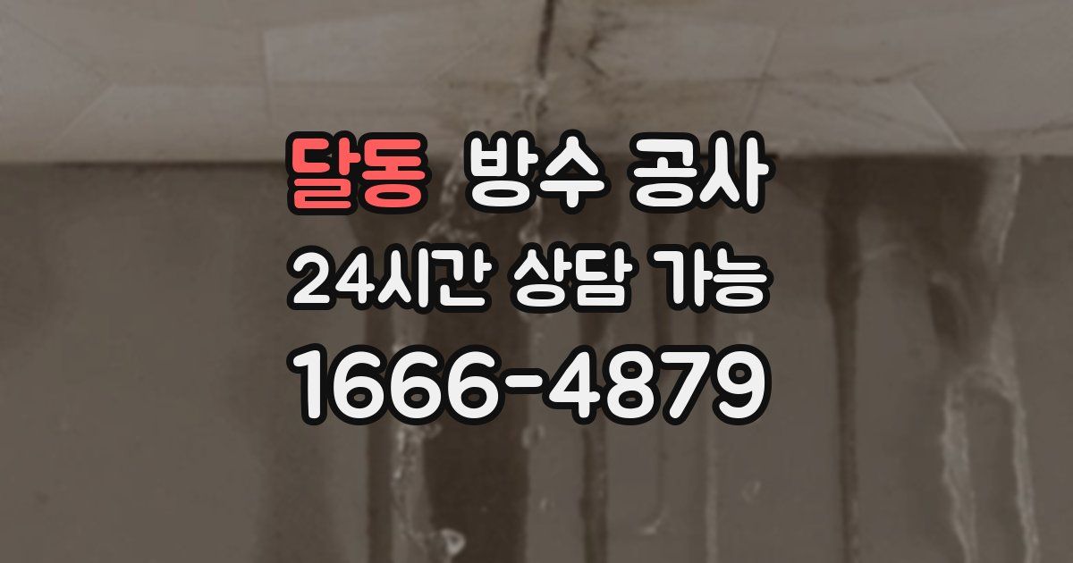 달동 누수탐지
