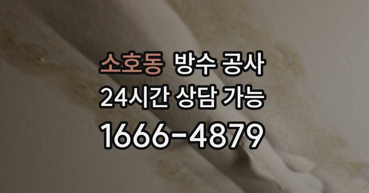 소호동 누수탐지