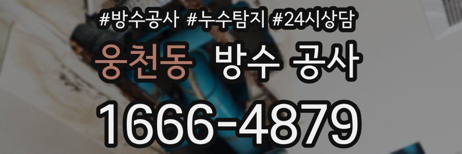 웅천동 방수 공사