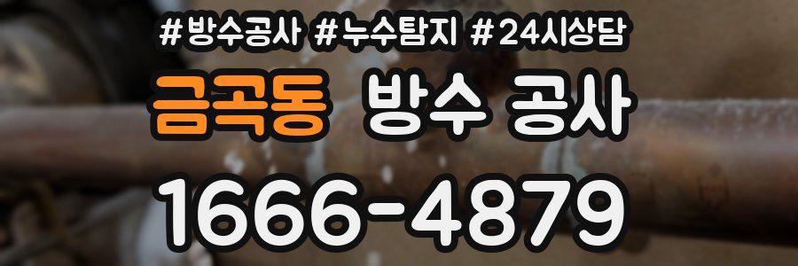 금곡동 방수 공사