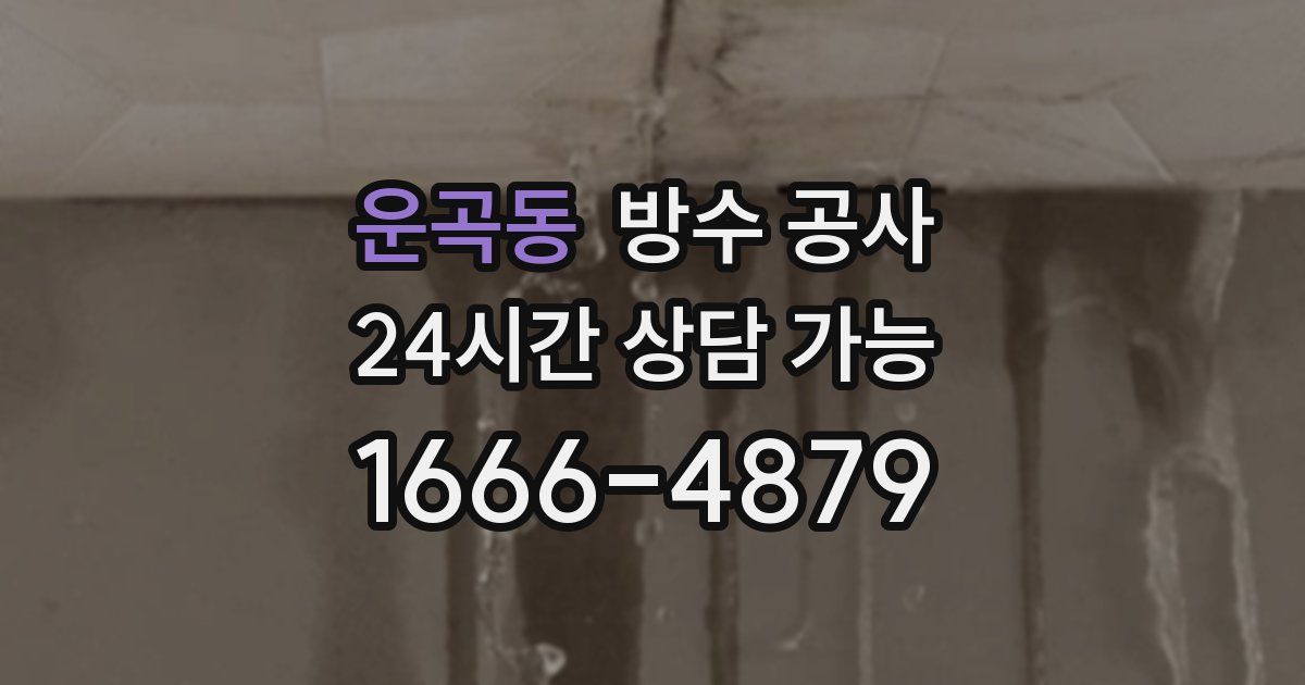 운곡동 누수탐지