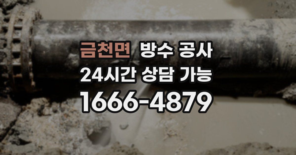 금천면 누수탐지