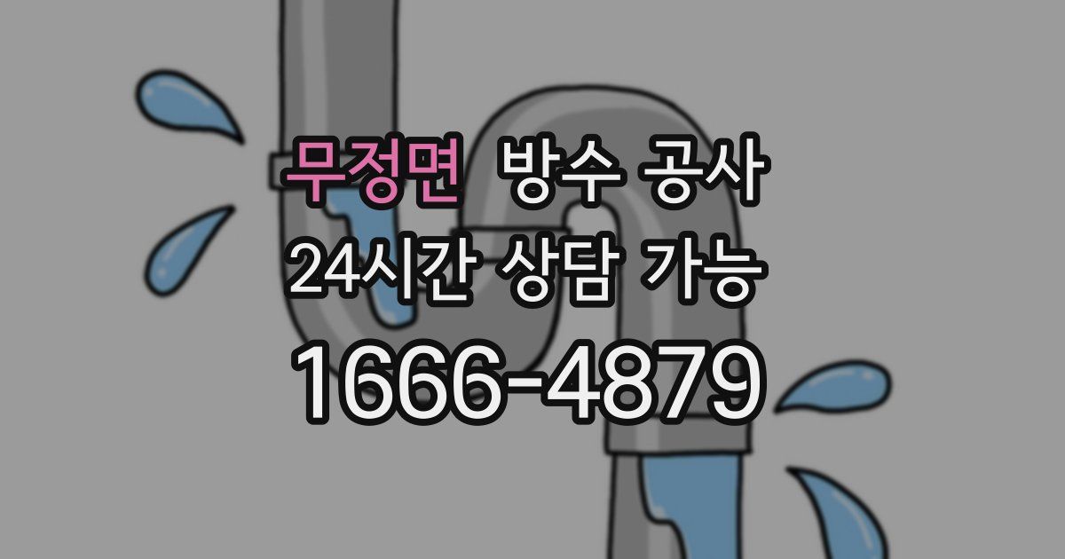 무정면 누수탐지