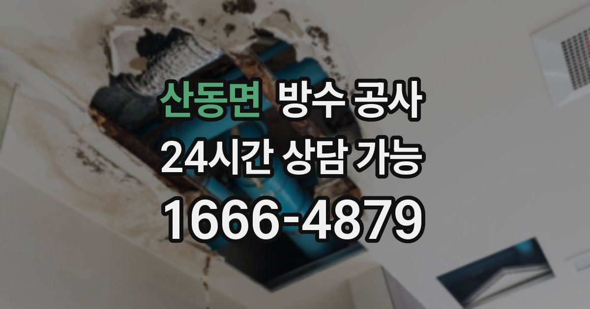 산동면 누수탐지