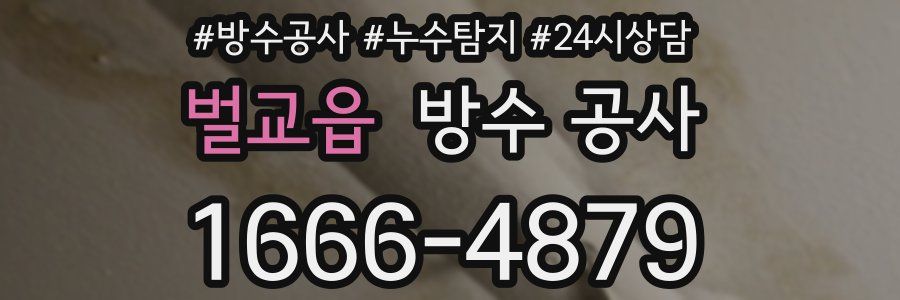 벌교읍 방수 공사