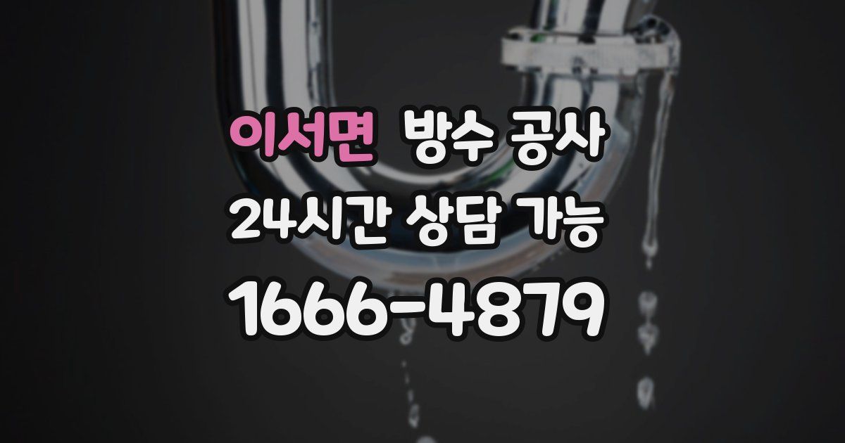 이서면 누수탐지