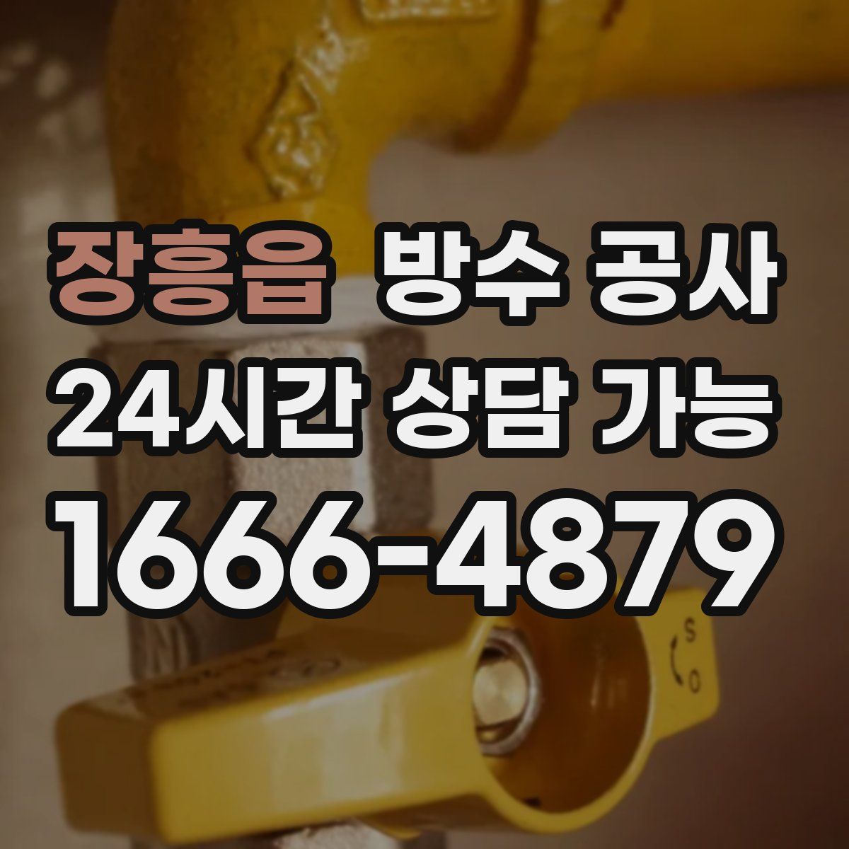 장흥읍 방수