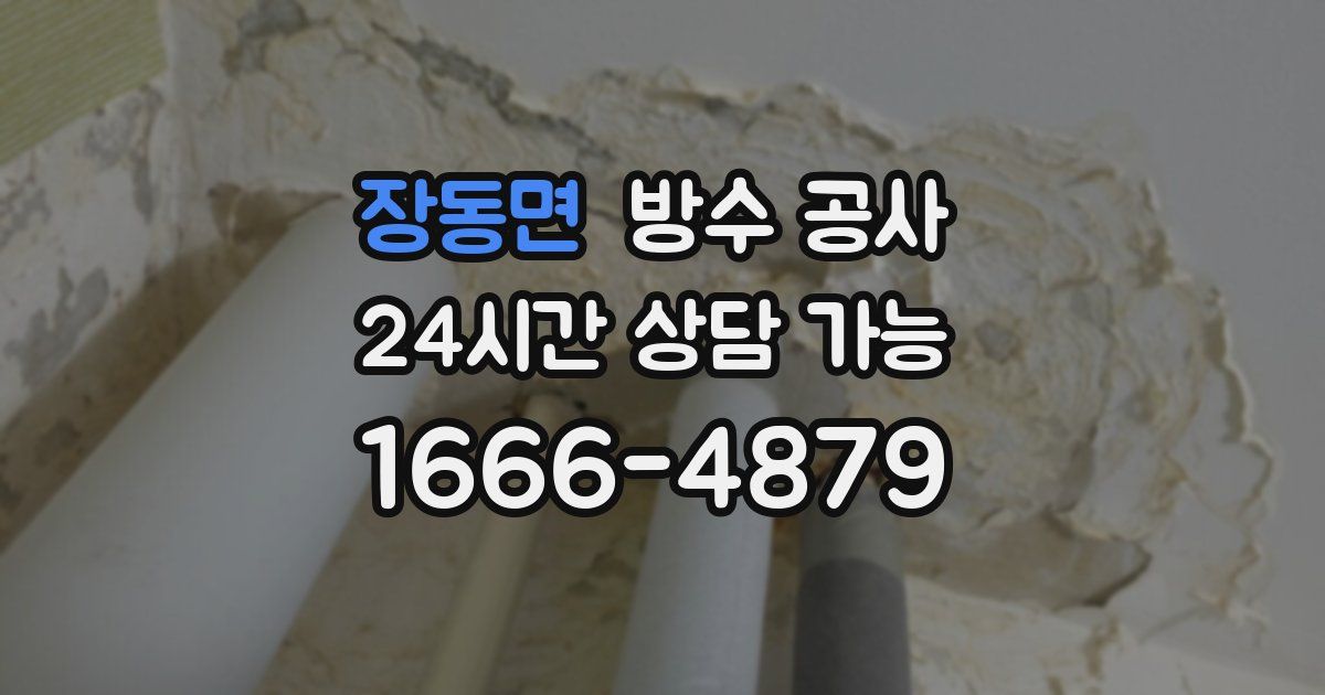 장동면 누수탐지