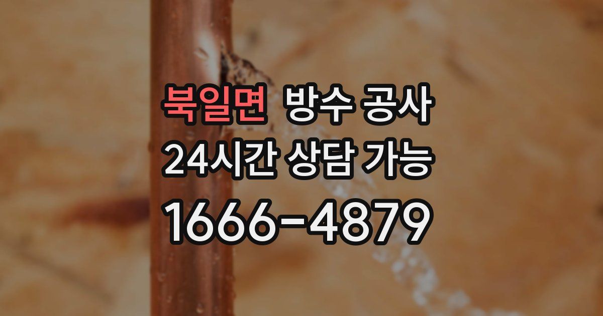 북일면 누수탐지