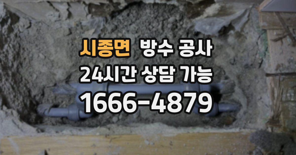 시종면 누수탐지