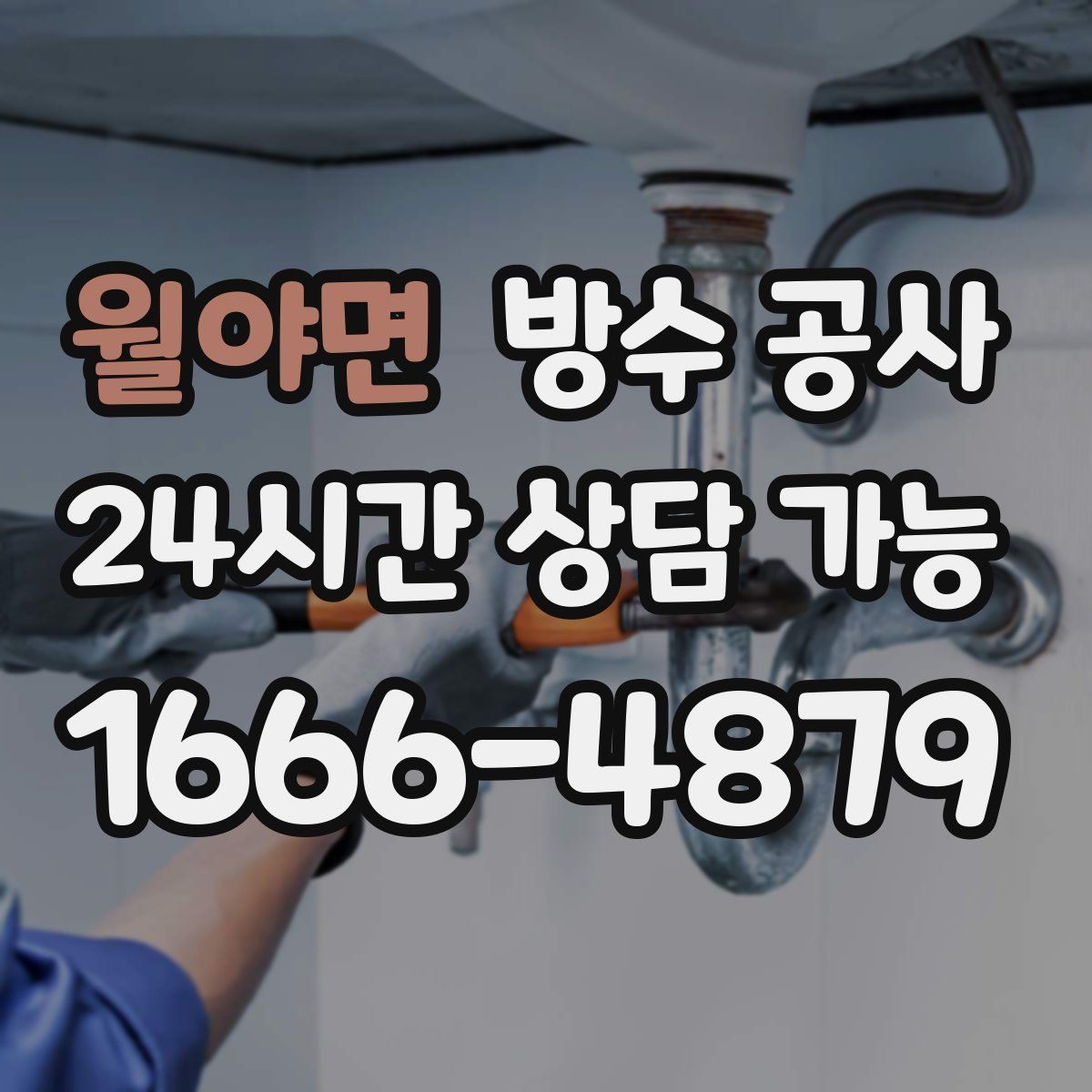 월야면 방수