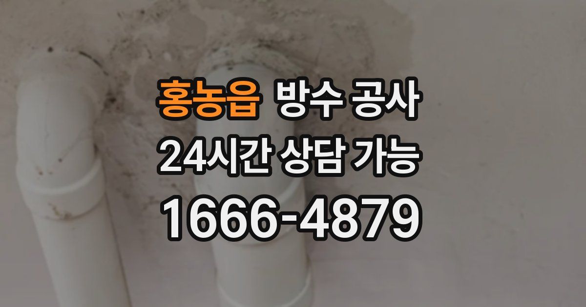 홍농읍 누수탐지