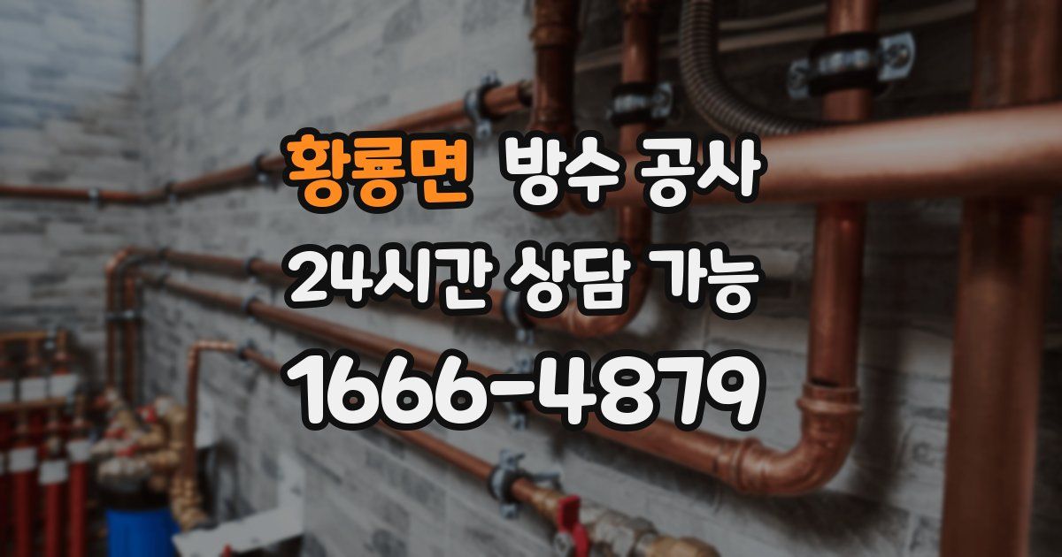 황룡면 누수탐지