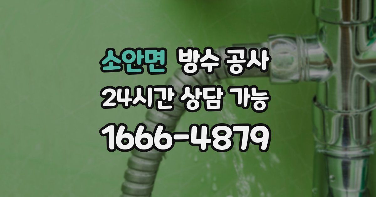 소안면 누수탐지