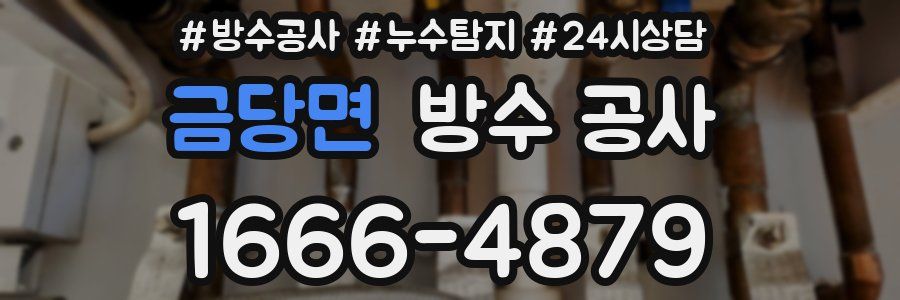 금당면 방수 공사