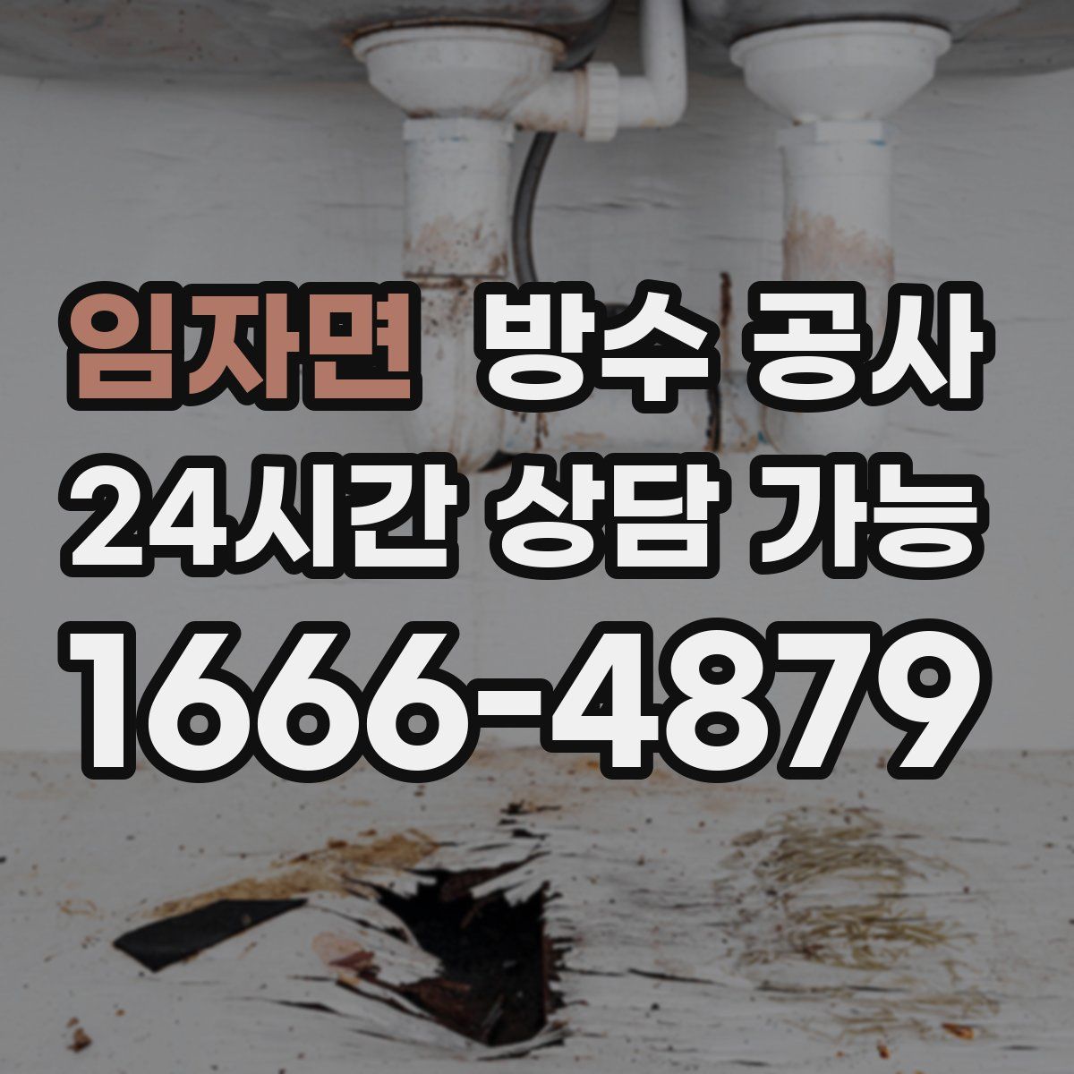 임자면 방수