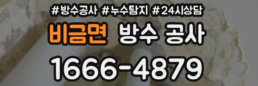 비금면 방수 공사