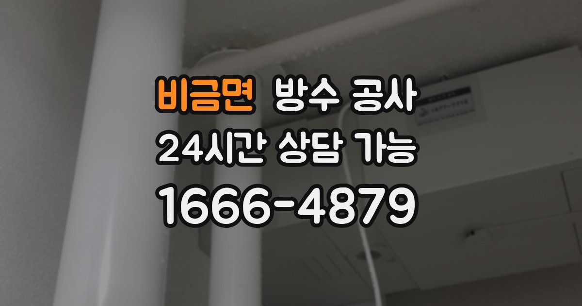 비금면 누수탐지