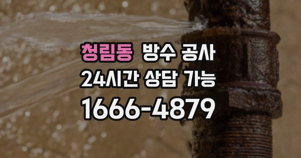 청림동 누수탐지