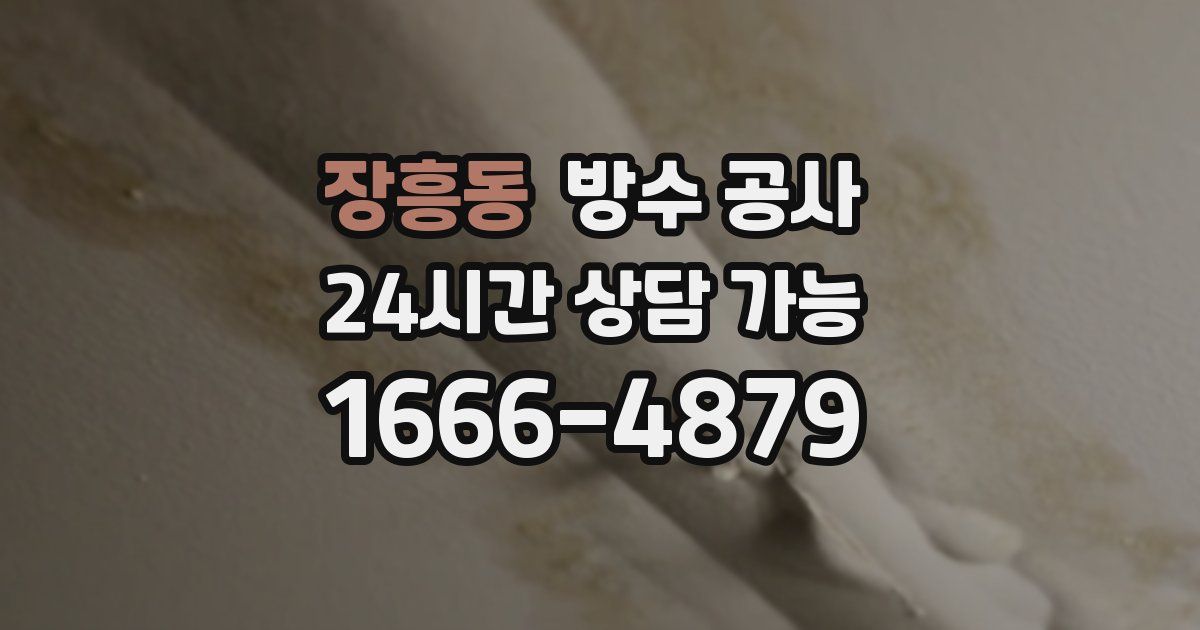 장흥동 누수탐지