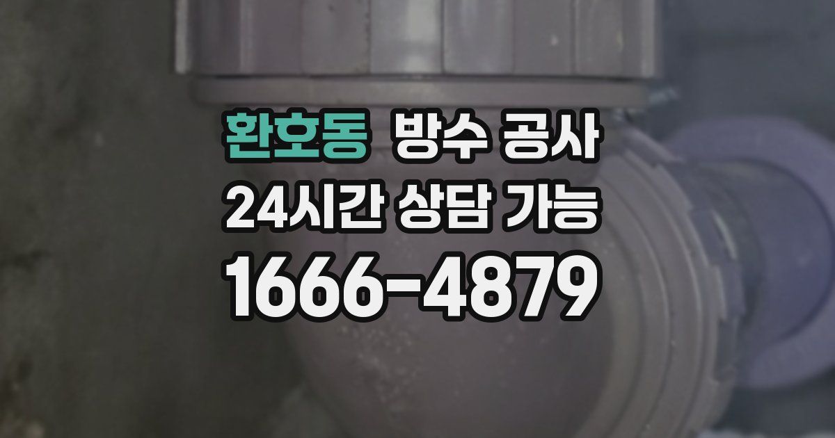 환호동 누수탐지