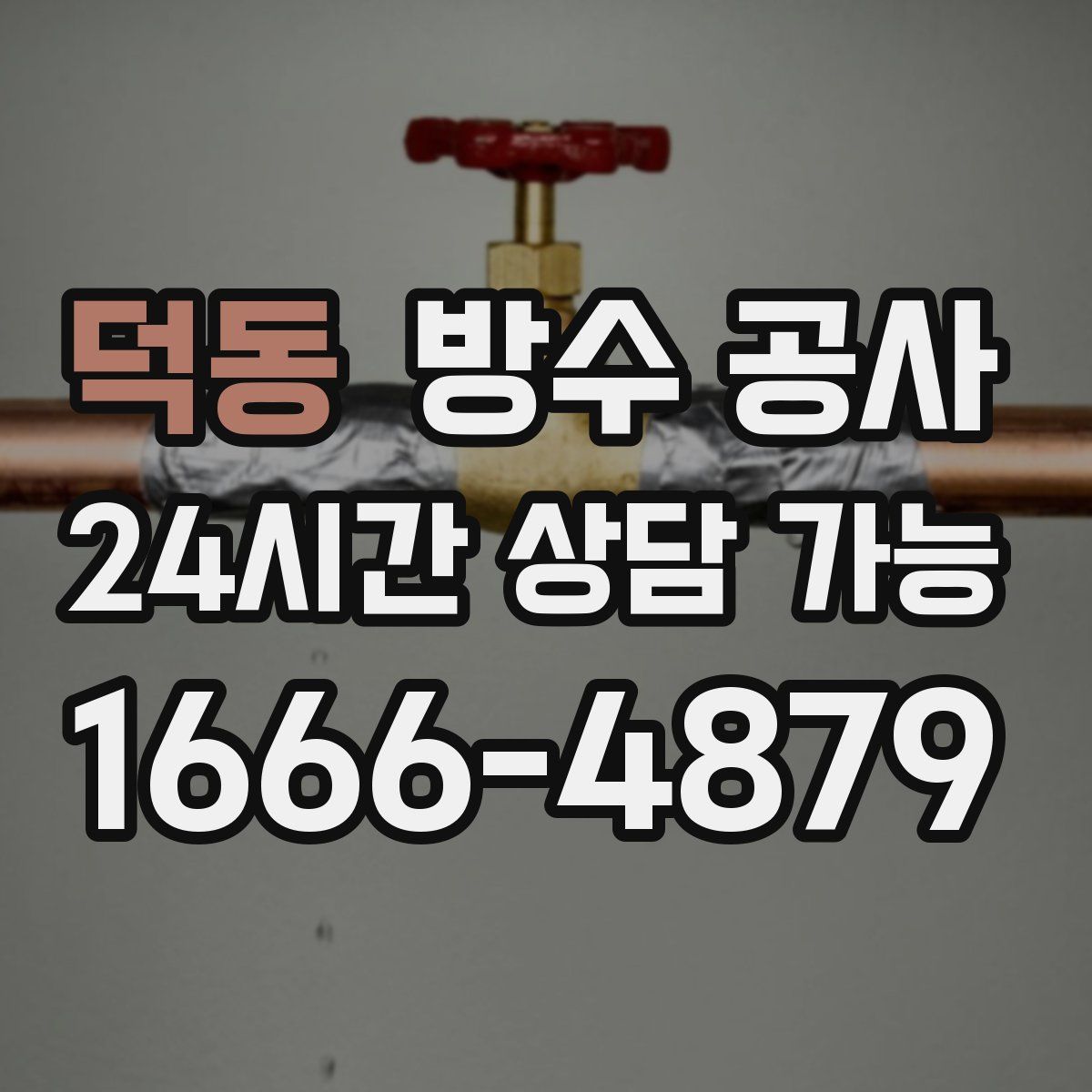 덕동 방수